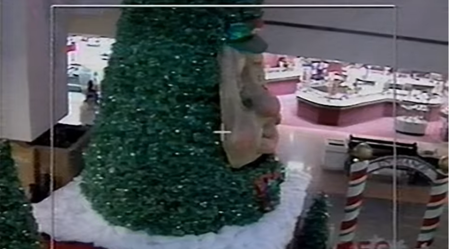 THROWBACK: Woody The Talking Christmas Tree Commercial From 1993