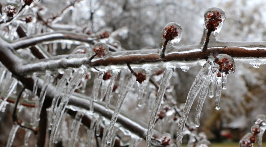 Freezing rain warning for parts of N.S.