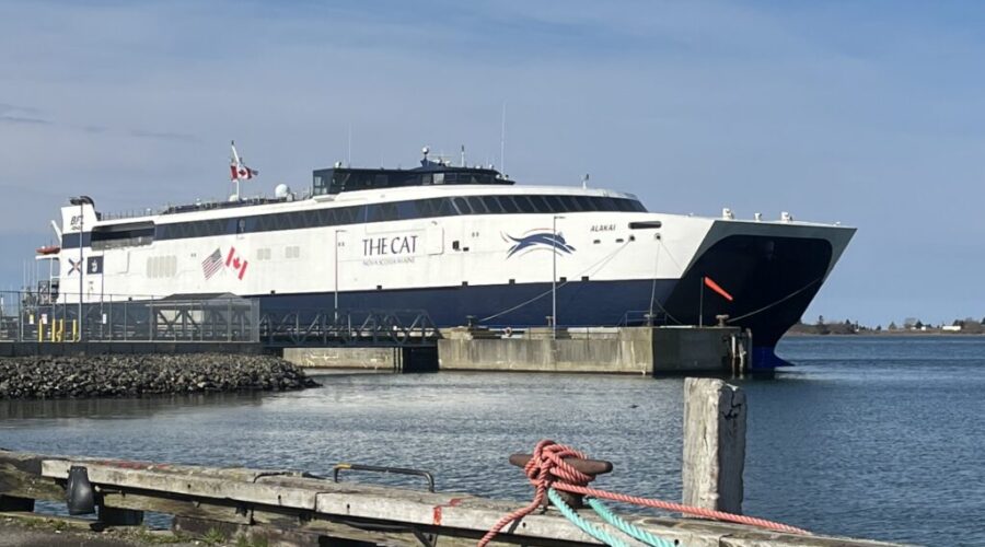 Province to ‘soon’ release final ‘CAT’ ferry study