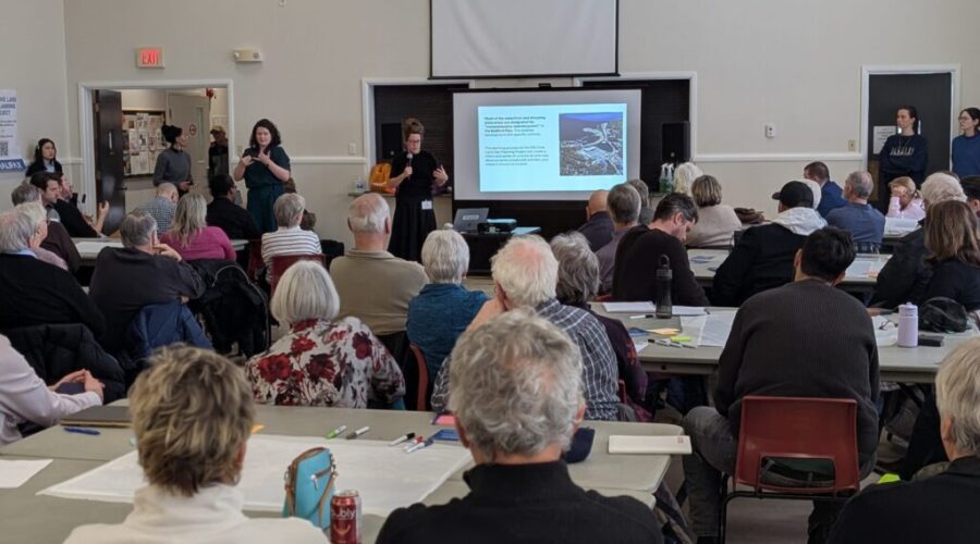 Mill Cove planning begins with big turnout, strong community voices
