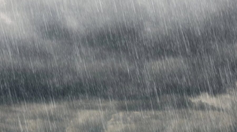 Major rain and wind on the way for N.S.