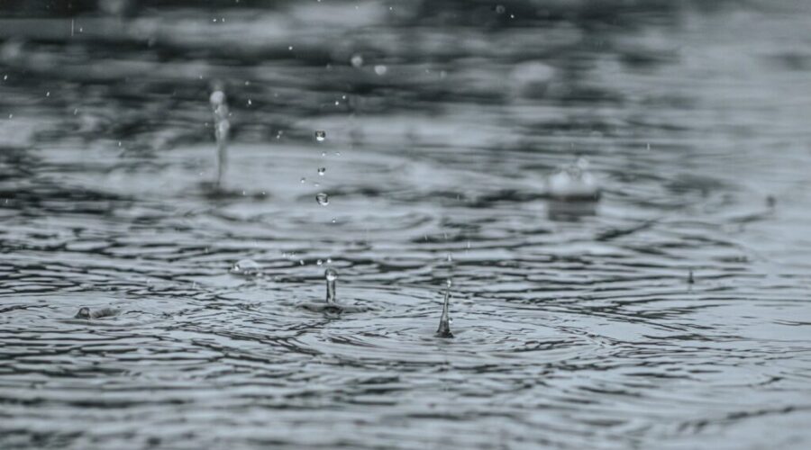Heavy rain and strong winds hitting across Nova Scotia