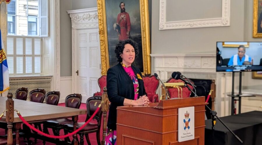NDP calls for impact analysis of budget before it passes
