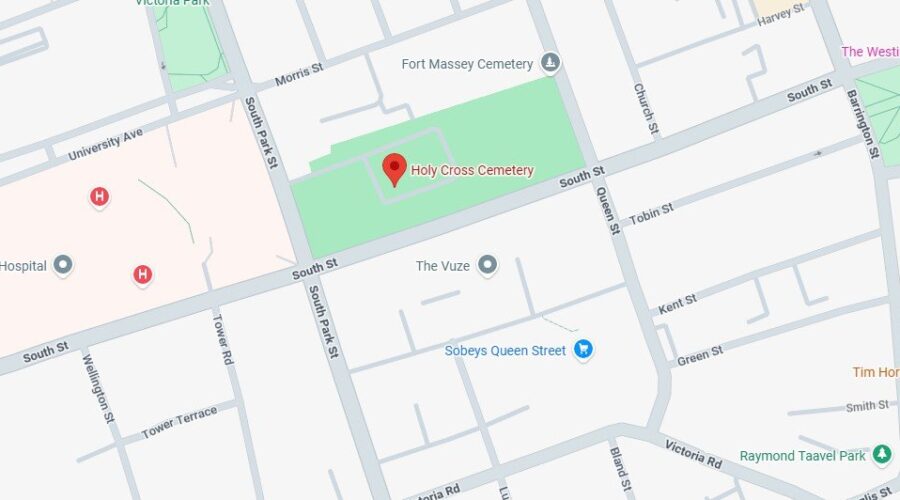 St. Patrick’s Day Parade society says cancellation should be wakeup call