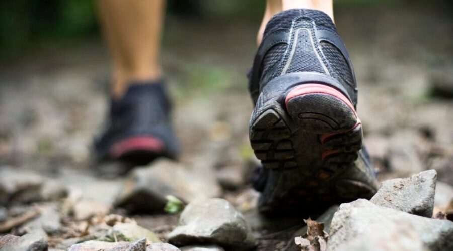 New approach for a group to overlook B.L.T Trail, says Halifax councillor