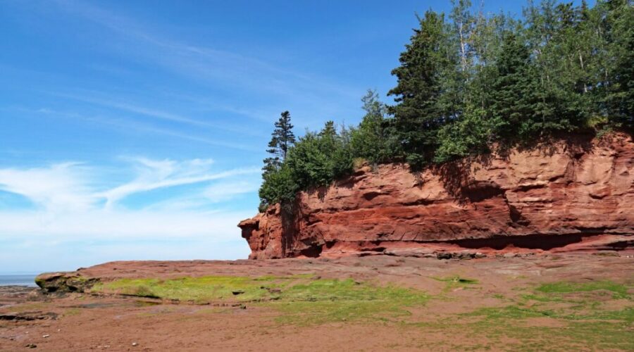 Human remains discovered on Bay of Fundy beach