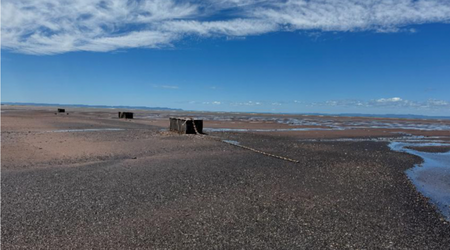 N.S. issues RFP for removal of abandoned railcars near the Walton River