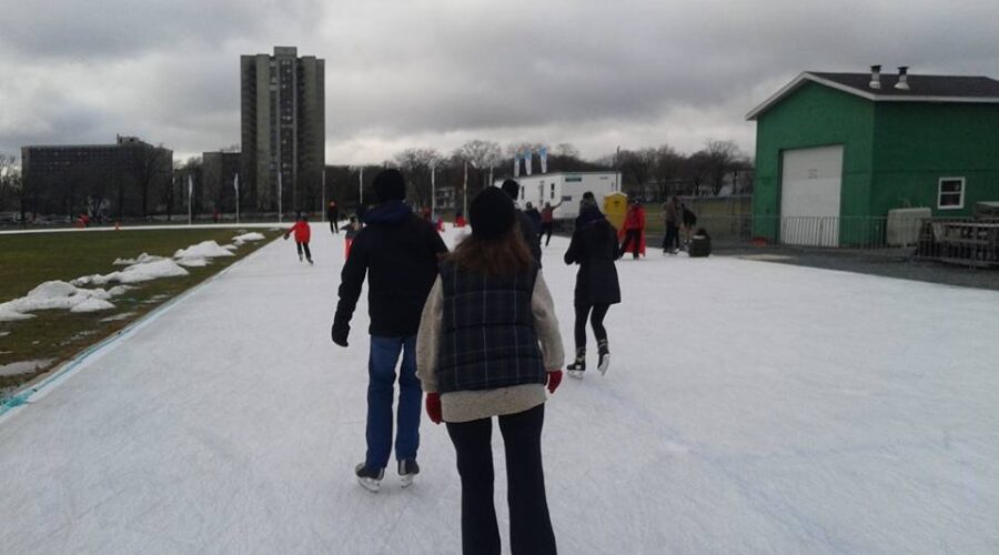 Burn Off Christmas Calories on the Halifax Oval!