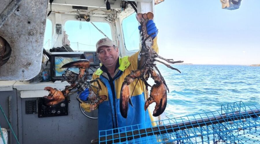 How’s Lobstering Dave Handling the Fame?