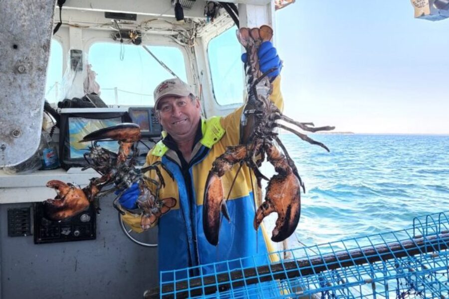 How’s Lobstering Dave Handling the Fame?
