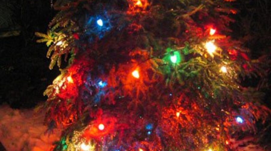 The East Dartmouth Tree Lighting Is Saturday