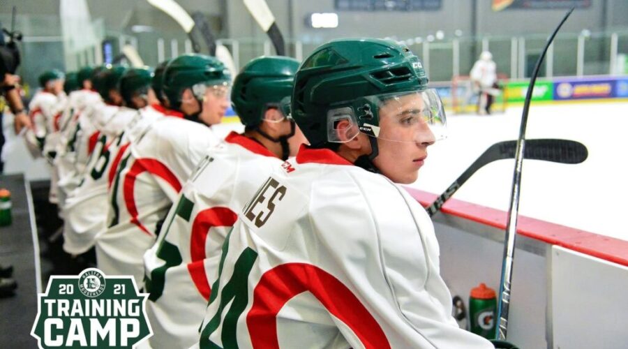 Mooseheads Training Camp Has Opened!