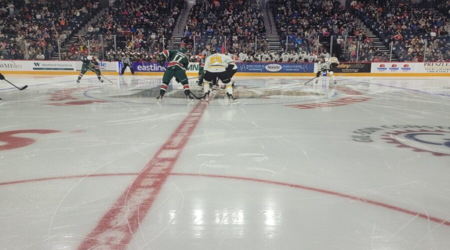 Moosemania Returns To Halifax!