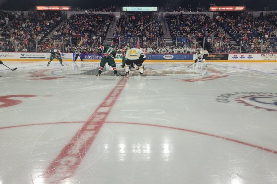 Moosemania Returns To Halifax!