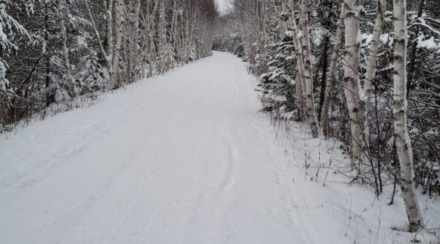 Winter Officially Arrives At 11:59am Today