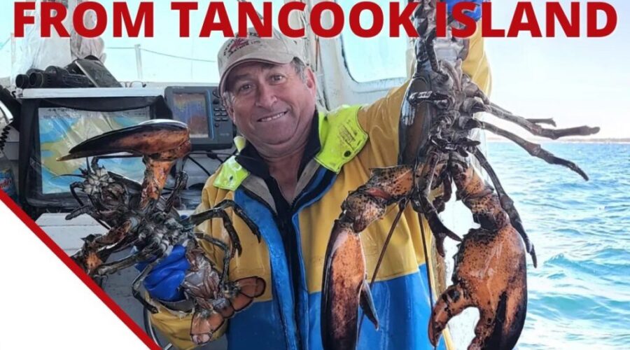 VOTE for Lobster Dave!