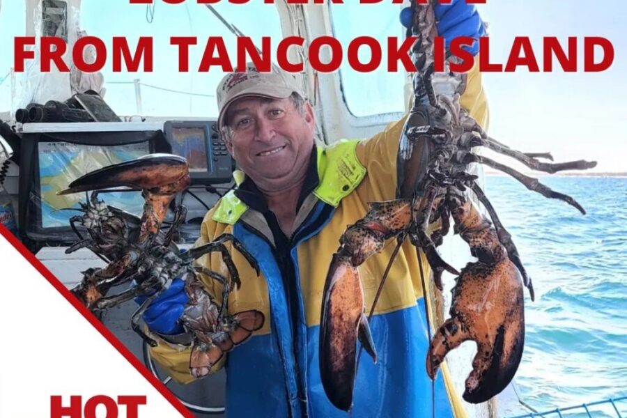 VOTE for Lobster Dave!