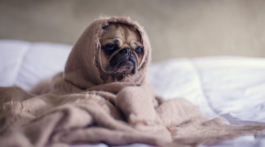 How to wake up feeling refreshed