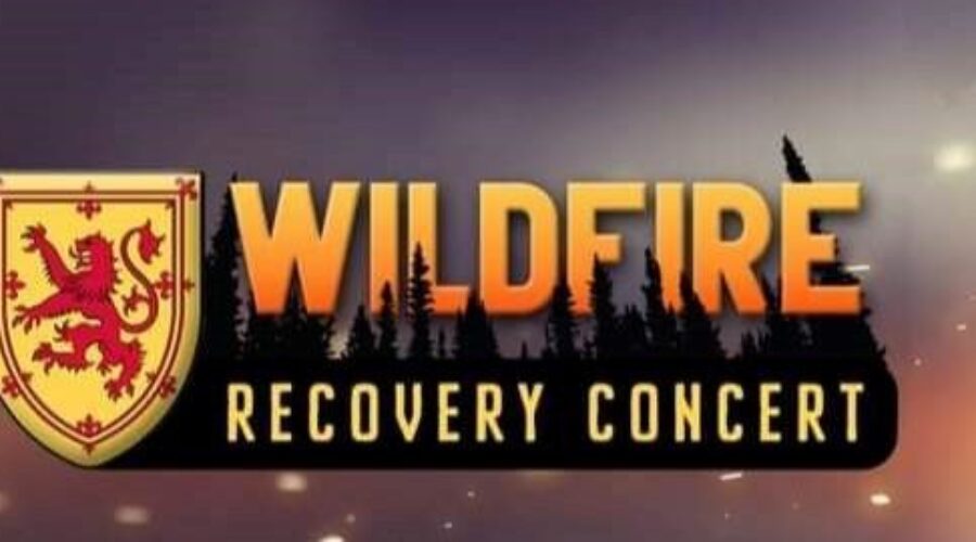 A Wildfire Recovery Concert Is This Friday