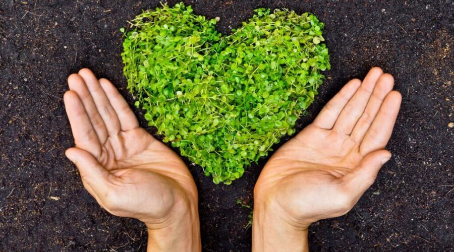 Earth Day: How can we do our part for the planet?