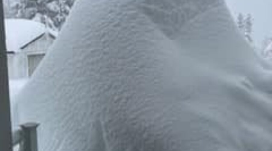 Ground Hog Day Weekend Snow Storm Totals