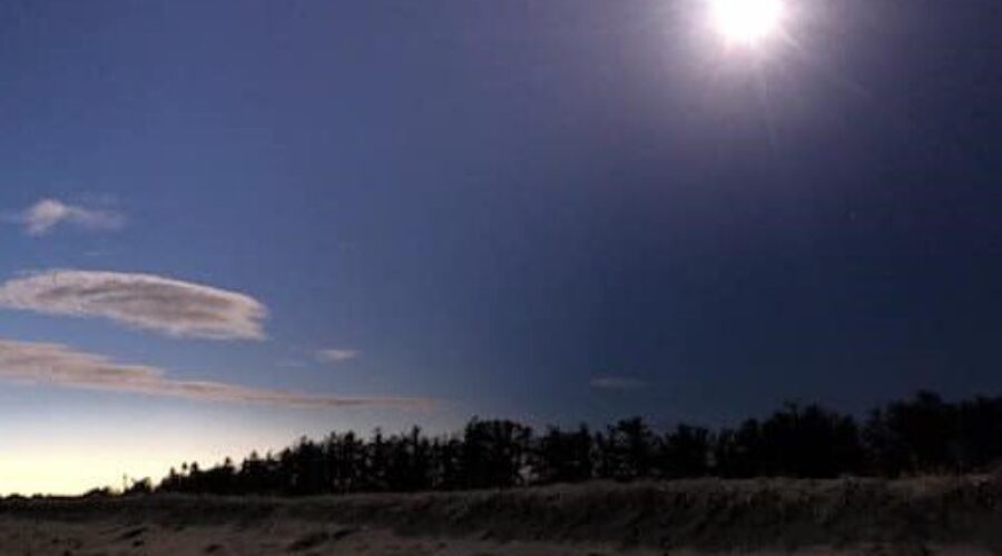 My Wife and Son’s Solar Eclipse Trip To New Brunswick