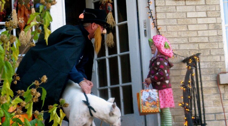 How many trick-or-treaters can you expect in the HRM?