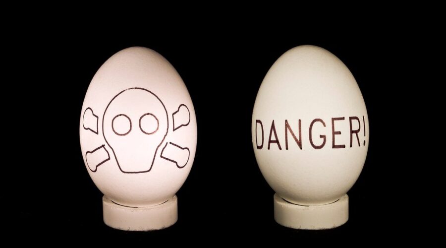 Someone is going around EGGING people in Dartmouth