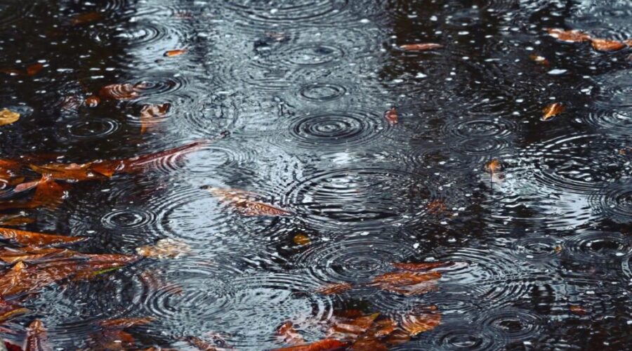 More heavy rain expected for Halifax, Guysborough counties