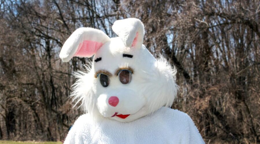 Sorry for the NIGHTMARES!!