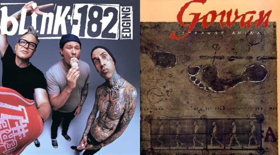 Your first concert was…