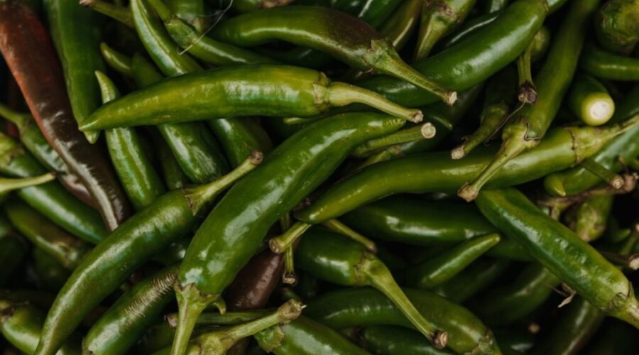 The Great Jalapeño Shortage of 2021 Hits Halifax Restaurants