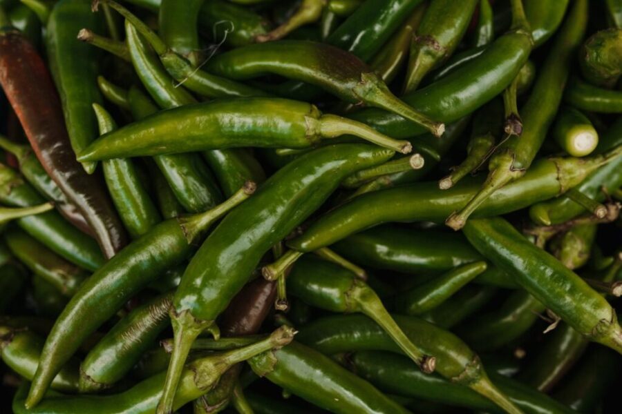 The Great Jalapeño Shortage of 2021 Hits Halifax Restaurants