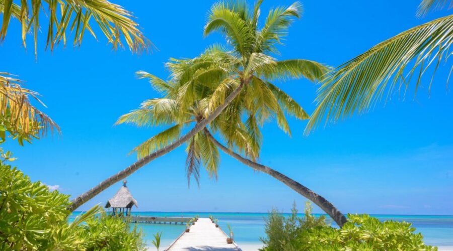 Lucky to be Alive Following a BLIND DATE VACATION!
