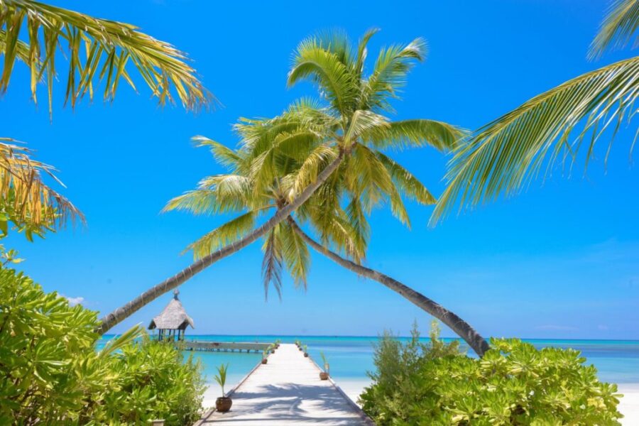 Lucky to be Alive Following a BLIND DATE VACATION!