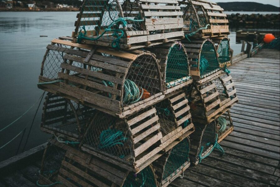 How Much Gravol do you Need to Fish Lobster?