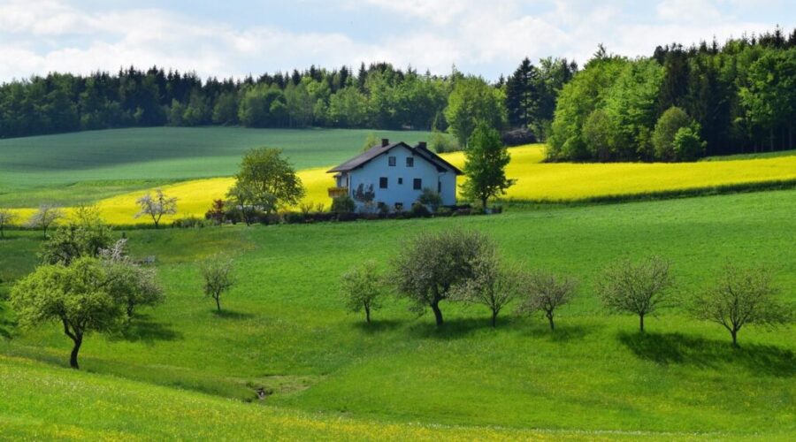 Country Living May Be Bad For Your Health