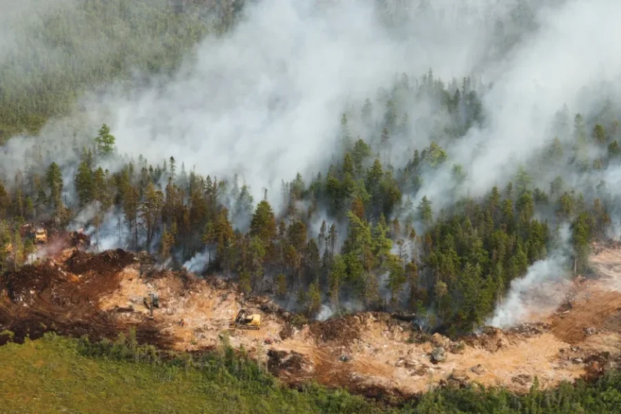 Long Lake wildfire now fully out after nearly 1 year: DNR