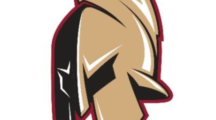 Want To Buy A Maritime QMJHL Hockey Team?