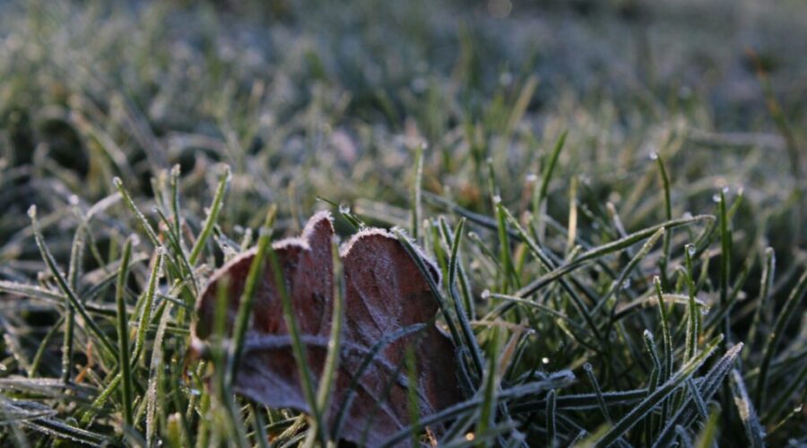 Frost advisory for all of Nova Scotia on Sunday night