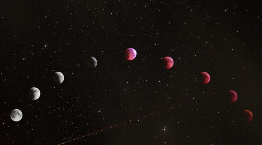 Your Halifax Horoscopes for June 1-7