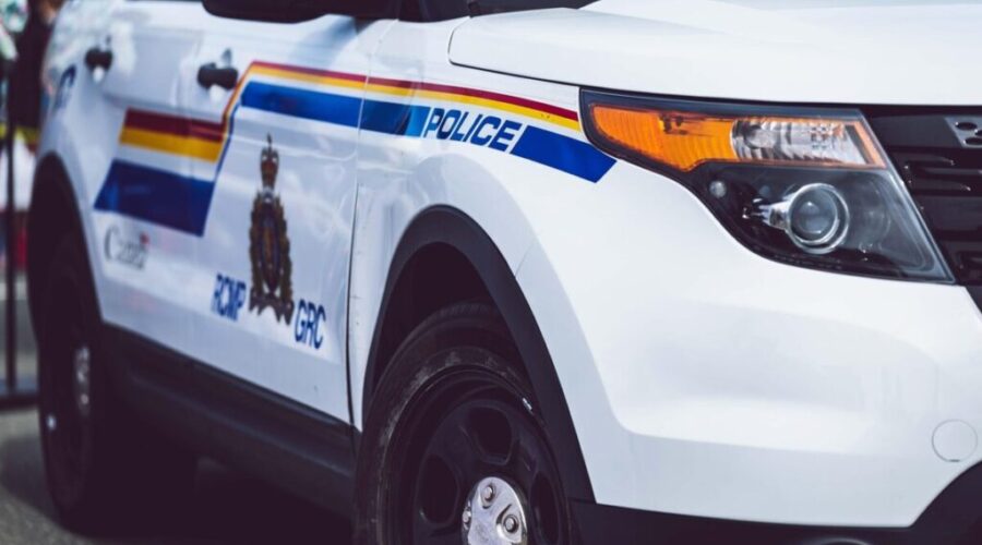 RCMP seize $113,000 worth of cannabis shipped from Ontario