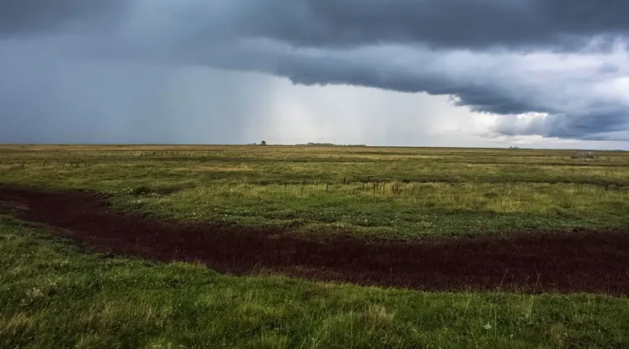 Severe thunderstorm warnings across province