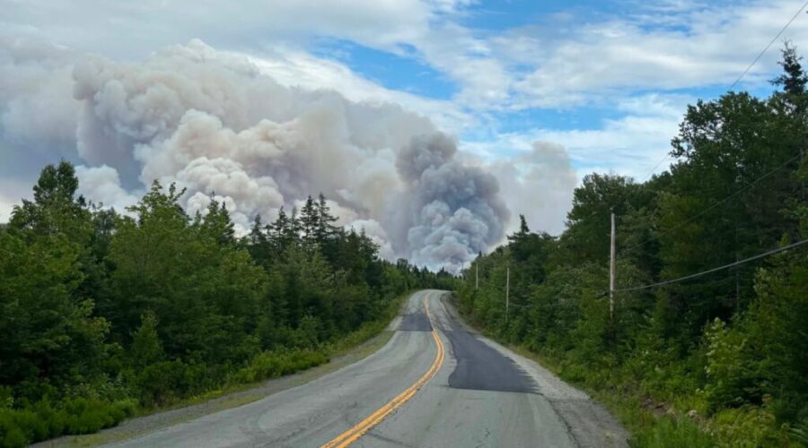 Mooseland wildfire now estimated 1,447 hectares, says DNR