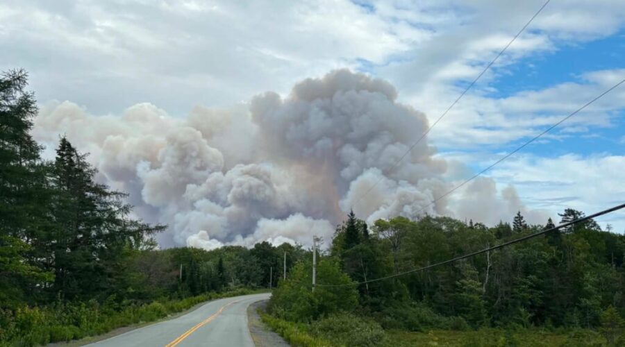 Mooseland wildfire remains held at 1447 hectares