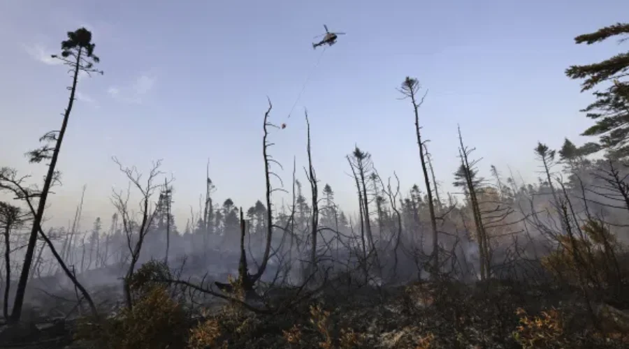 Heavy rain could bring relief to Nova Scotia wildfires